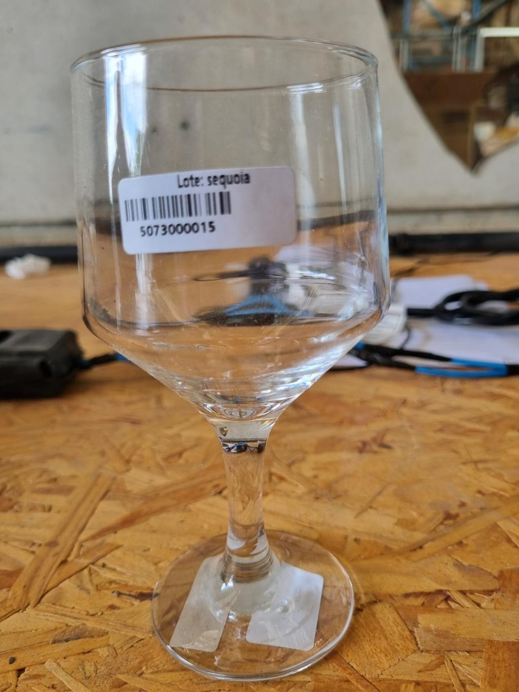 Taça de vidro para vinho