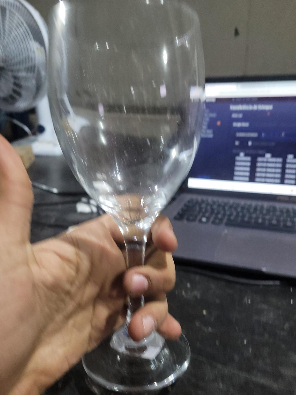 Taça de vidro para vinho