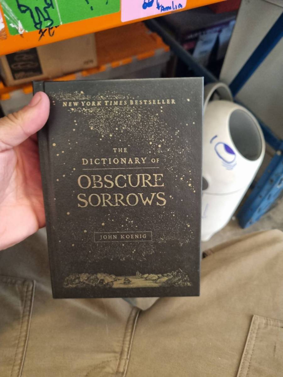Livro 'The Dictionary of Obscure Sorrows'