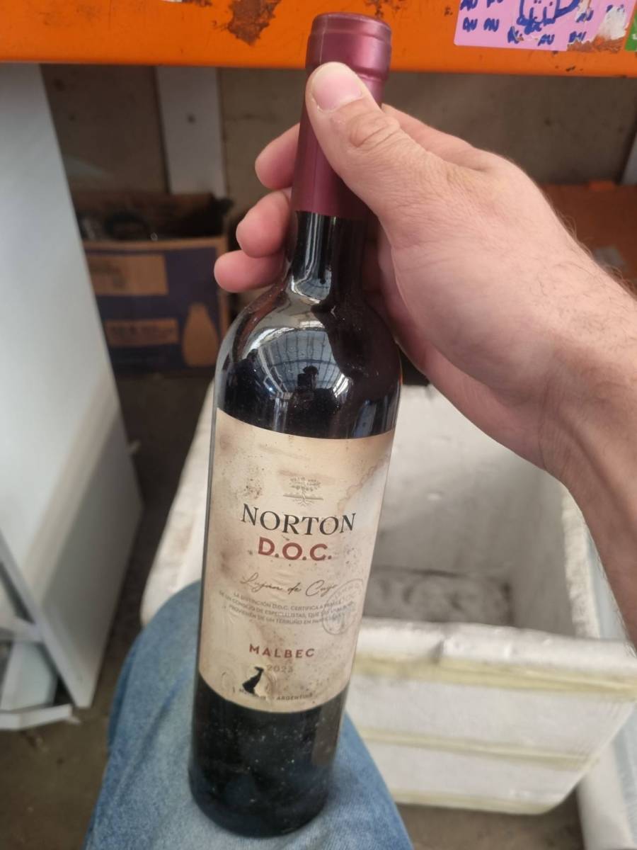 Vinho tinto Malbec Norton D.O.C.