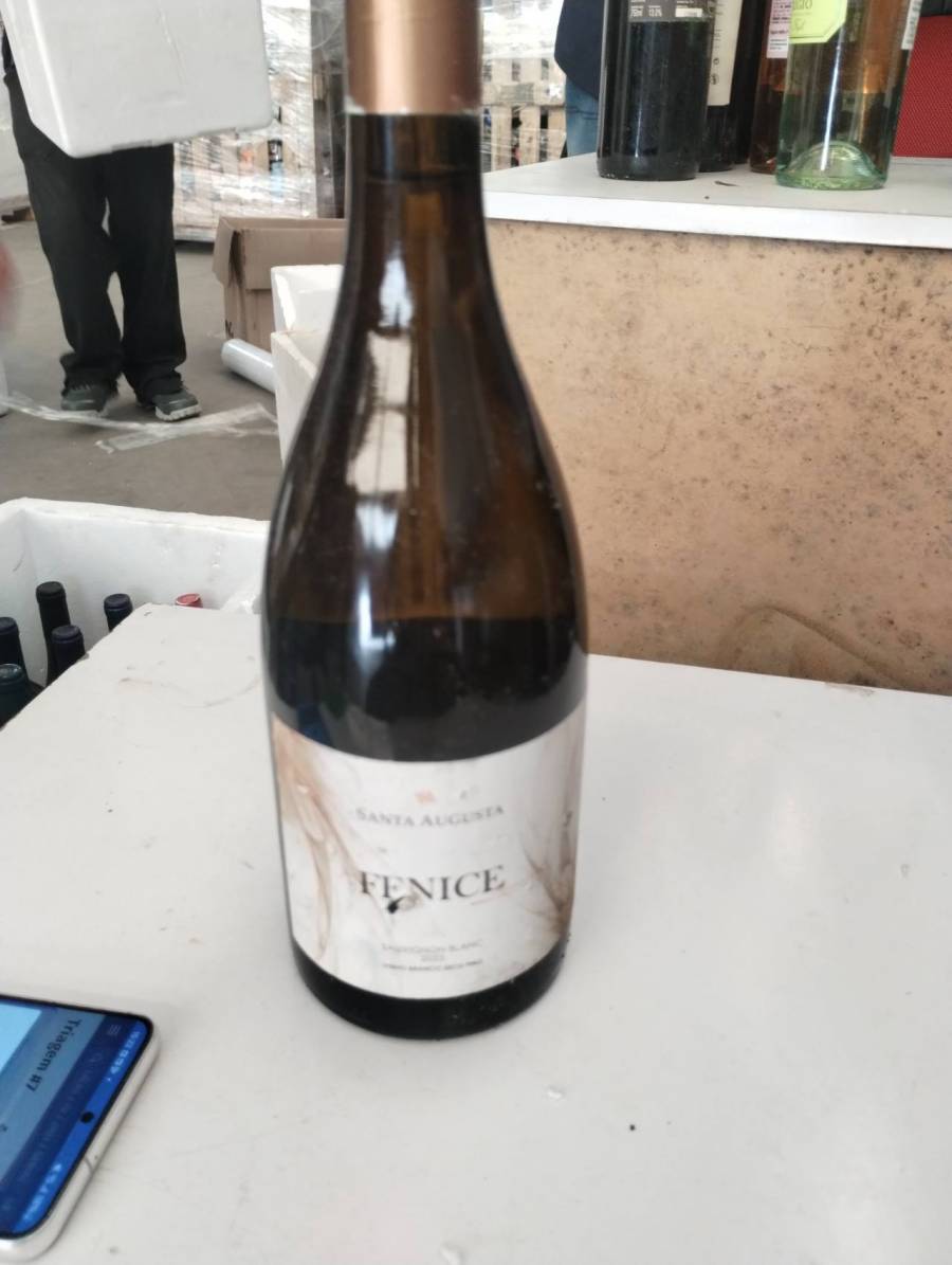 Vinho branco Fenice Sauvignon Blanc 2020