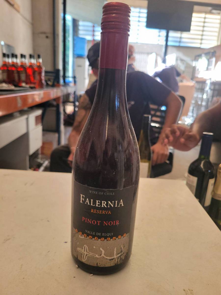 Vinho tinto Falernia Reserva Pinot Noir