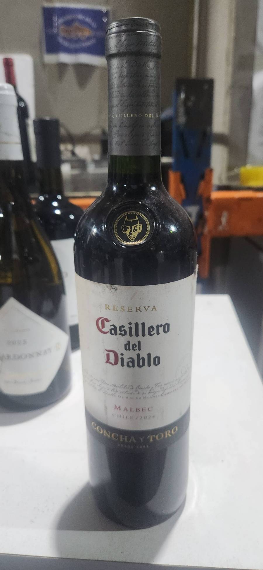 Vinho tinto Reserva Casillero del Diablo Malbec