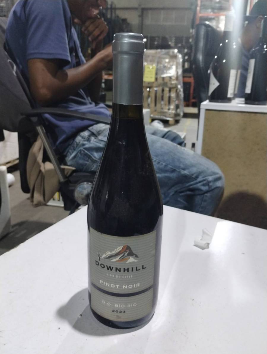 Vinho tinto Pinot Noir Downhill
