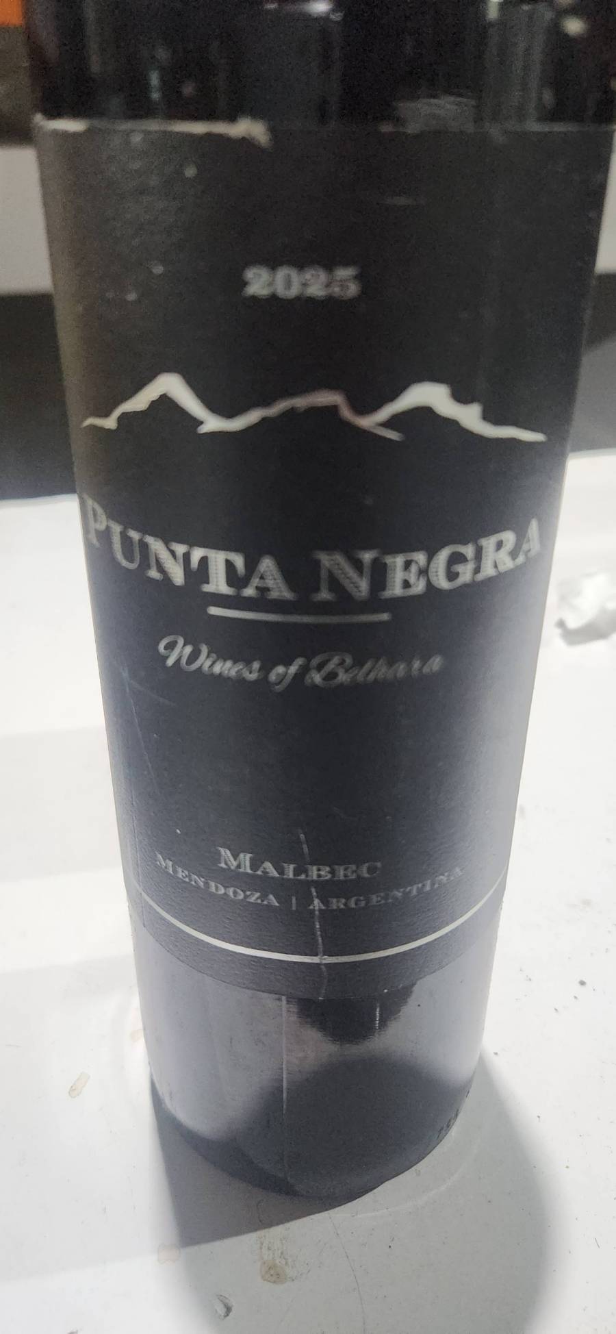 Vinho Malbec Punta Negra
