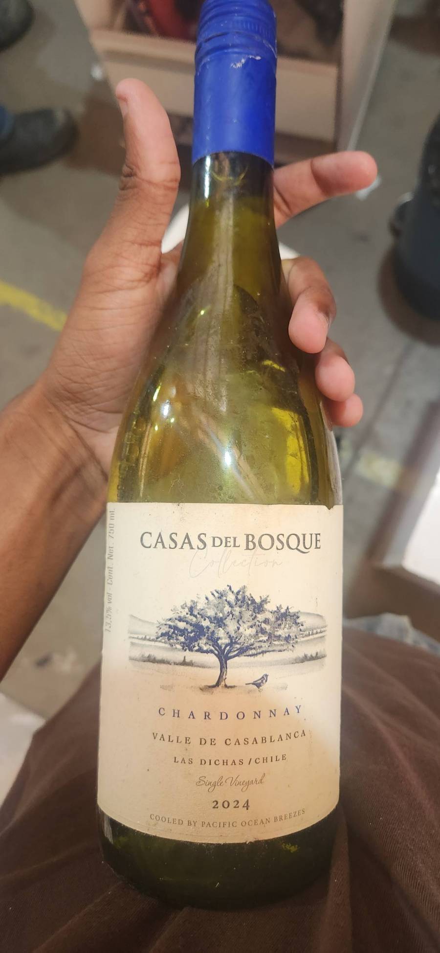 Vinho branco Chardonnay Casas del Bosque