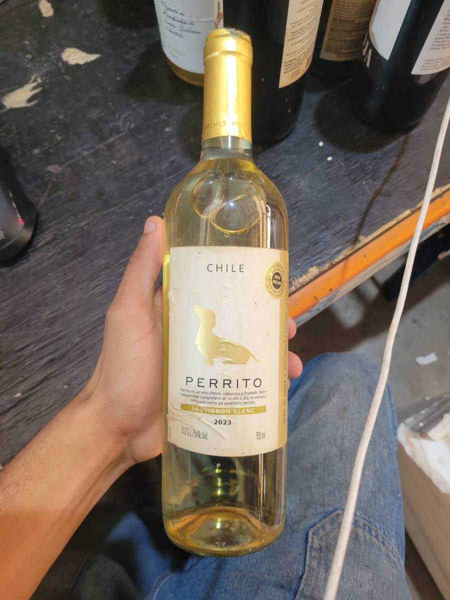 Vinho branco Sauvignon Blanc Perrito 2023