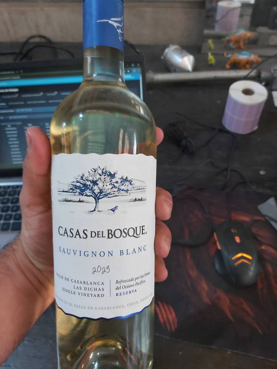 Vinho branco Casas del Bosque Sauvignon Blanc 2023