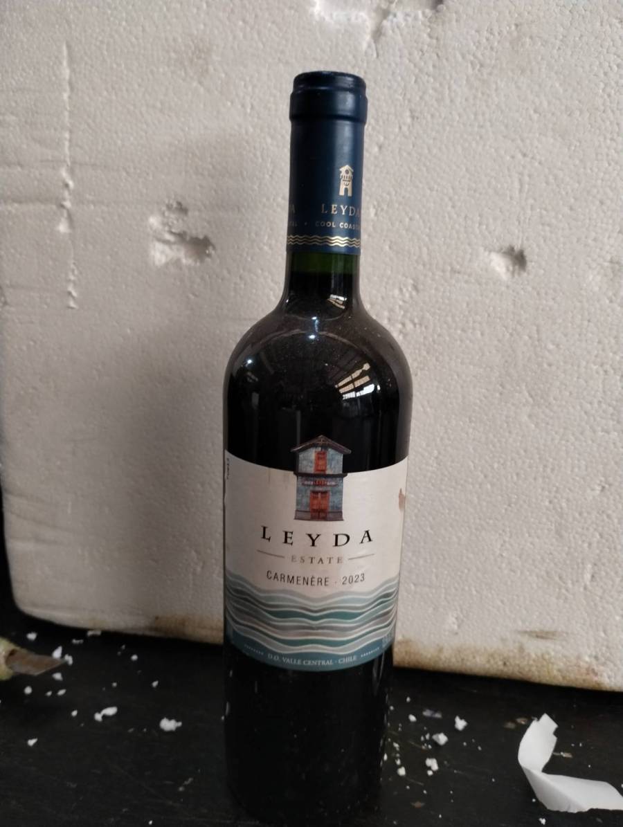 Vinho tinto Carmenère 2023