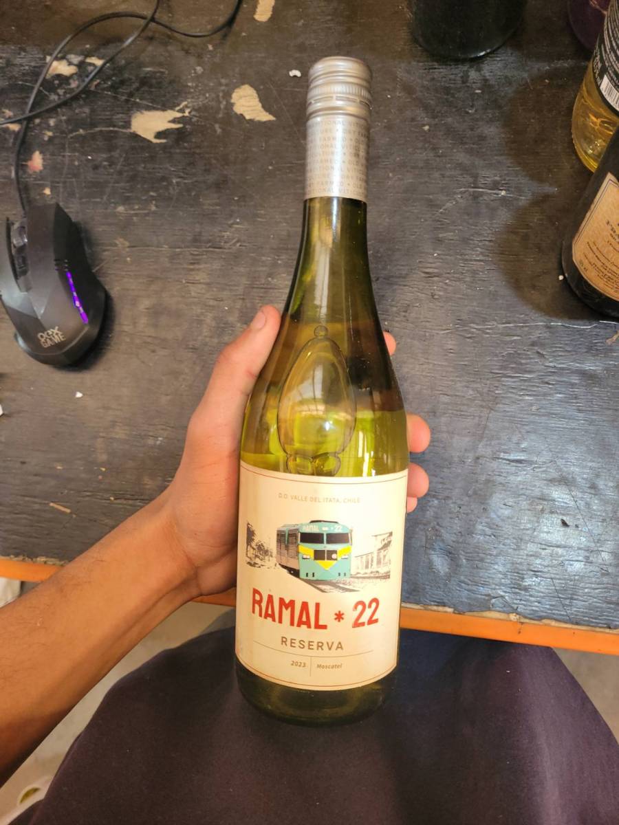 Vinho fino branco seco Ramal 22 Reserva 2023 Moscatel