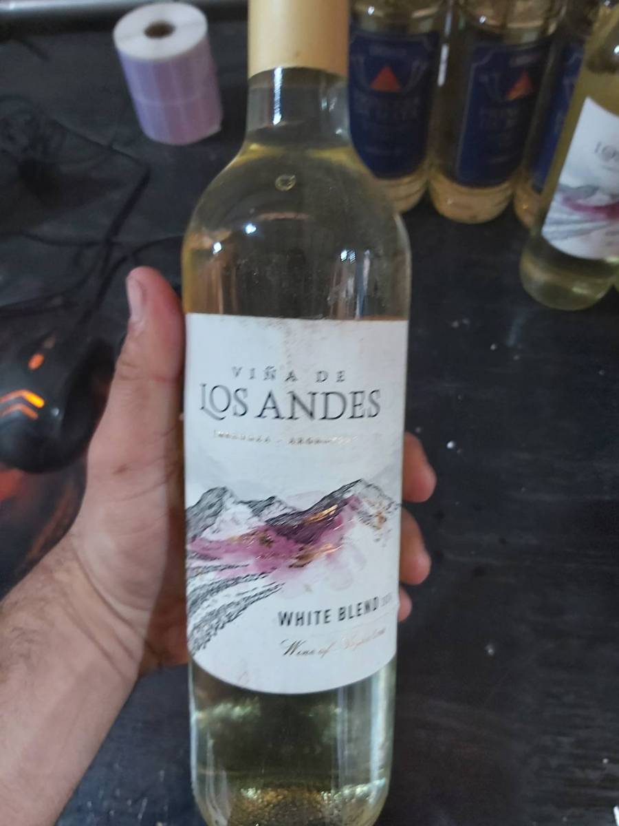 Vinho branco Viña de Los Andes White Blend