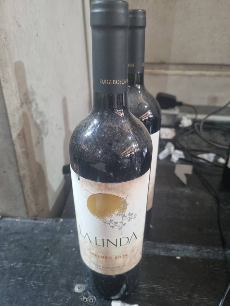 Vinho Malbec 2024