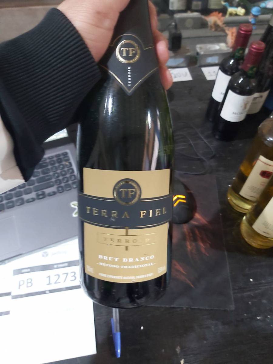 Vinho Espumante Terra Fiel Brut Branco