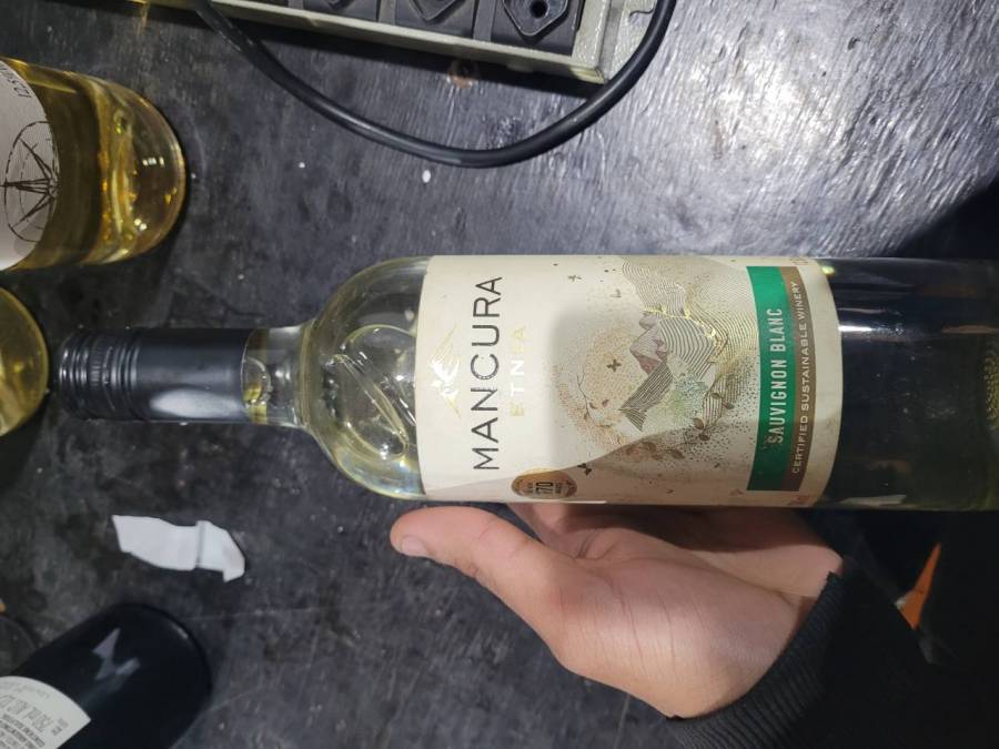 Vinho branco meio seco Sauvignon Blanc Mancura Etnia