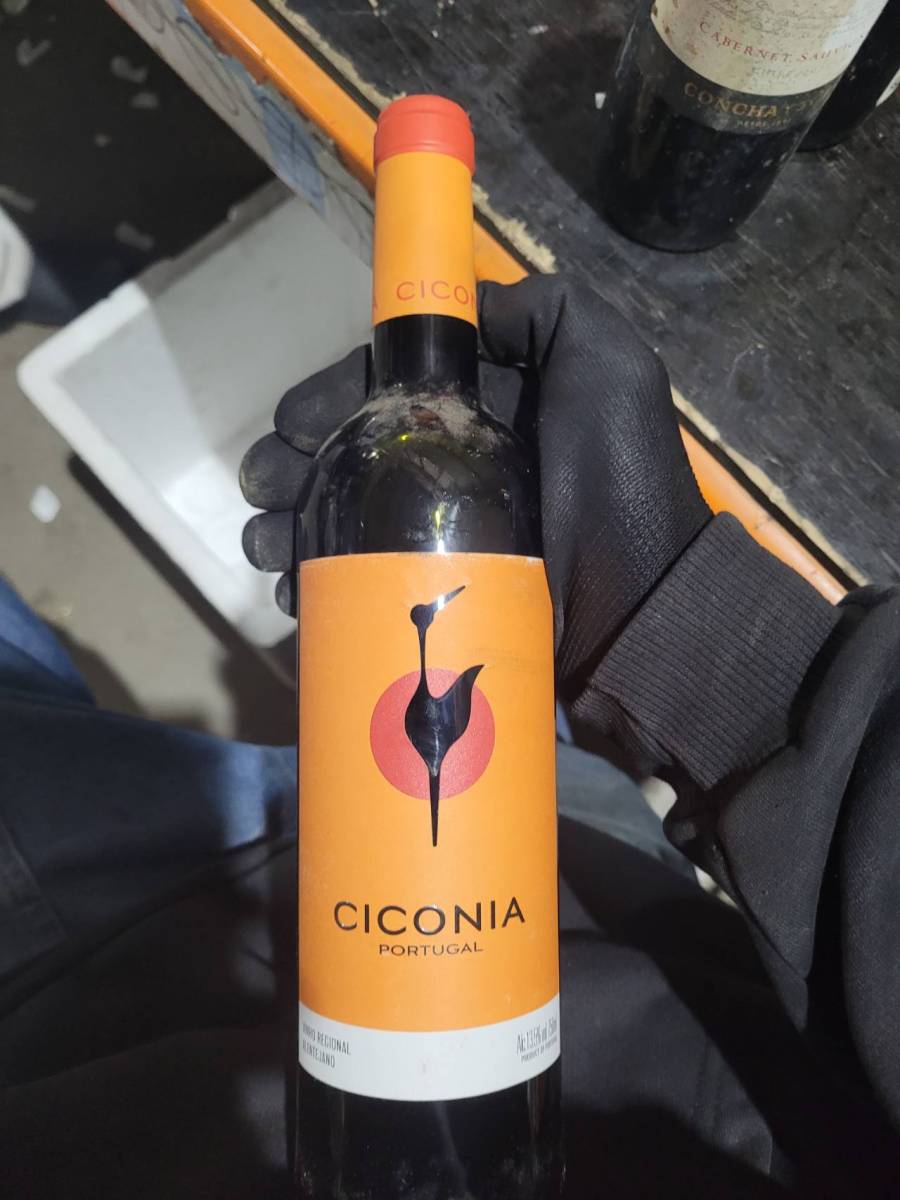 Vinho tinto Ciconia Portugal