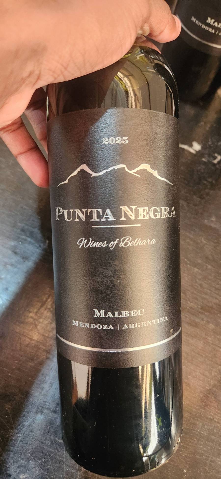 Vinho Malbec Punta Negra