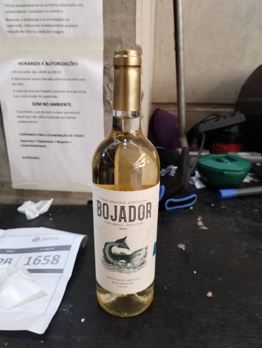 Vinho branco Bojador 2024