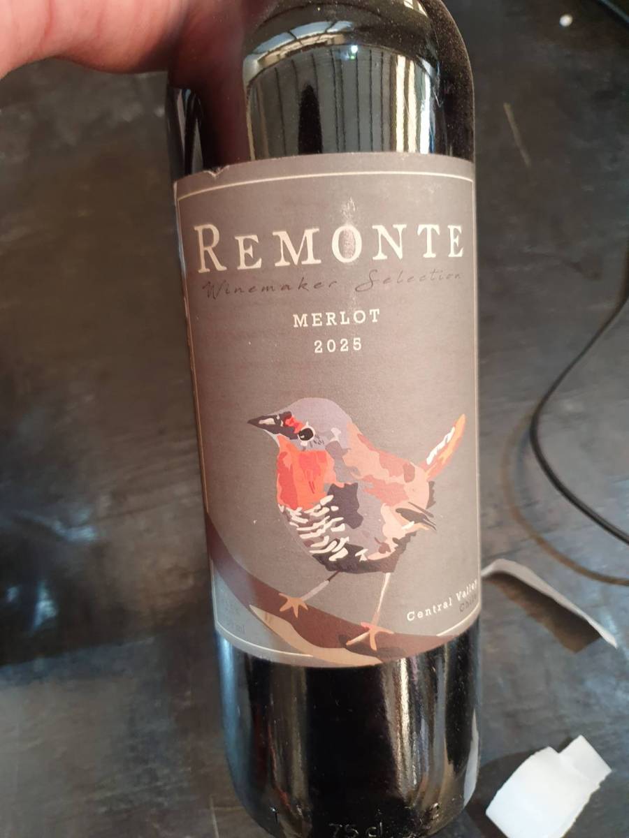 Vinho tinto Merlot Remonte