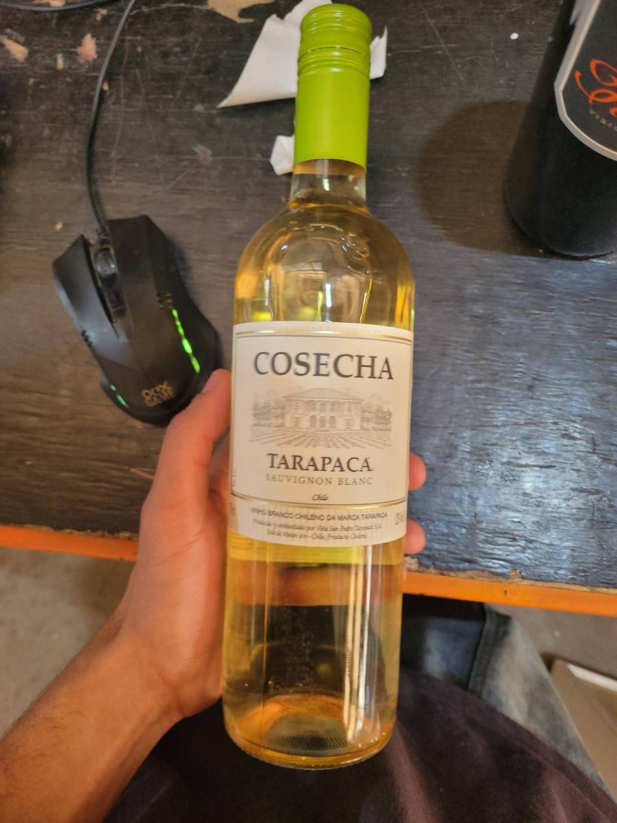 Vinho branco chileno Cosecha Tarapacá Sauvignon Blanc