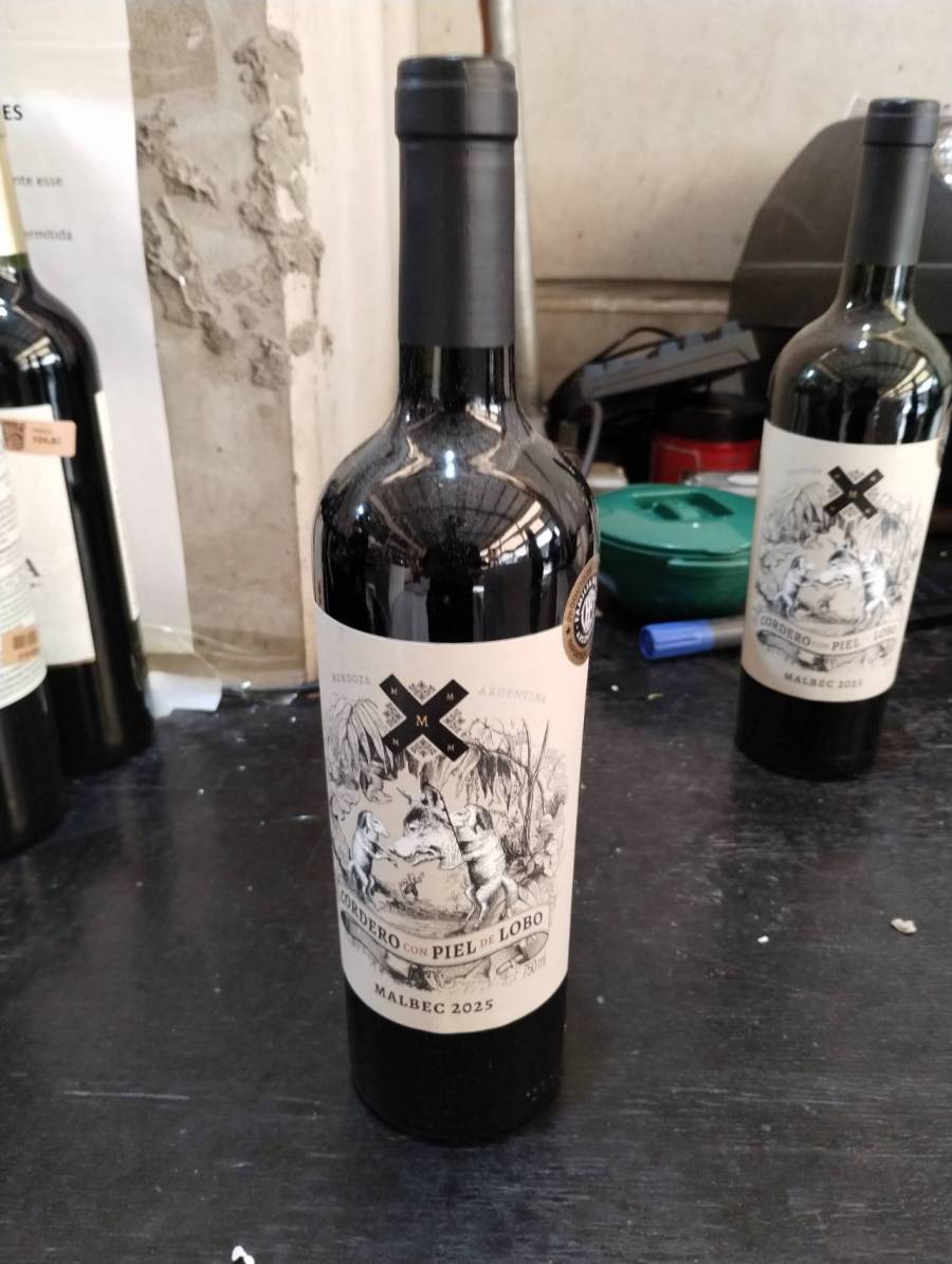 Vinho Malbec 2025