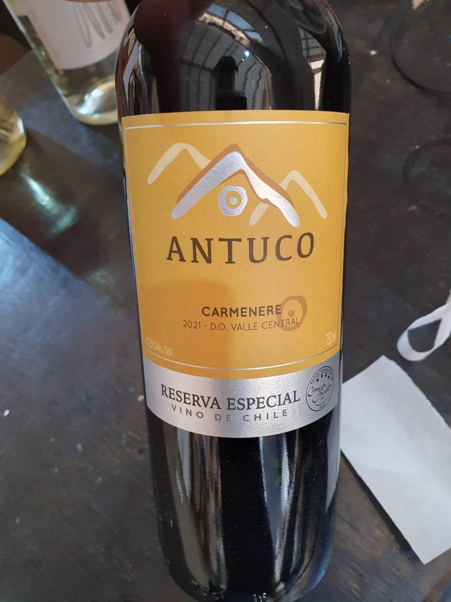Vinho Carménère Reserva Especial Antuco