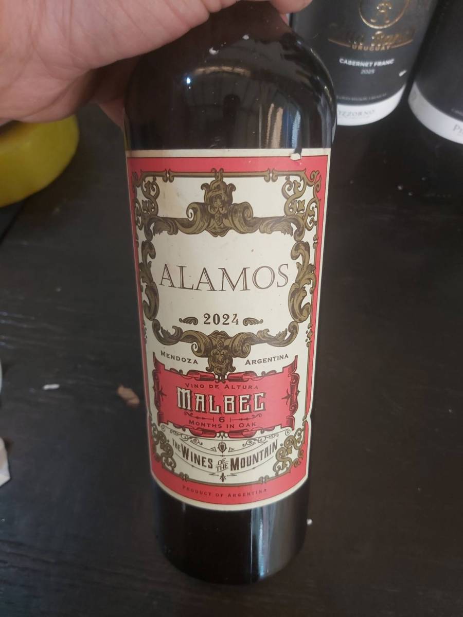 Vinho Malbec Alamos 2024