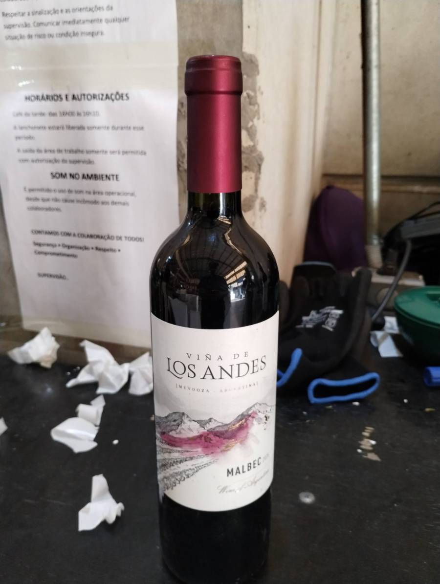 Vinho tinto Malbec Viña de Los Andes