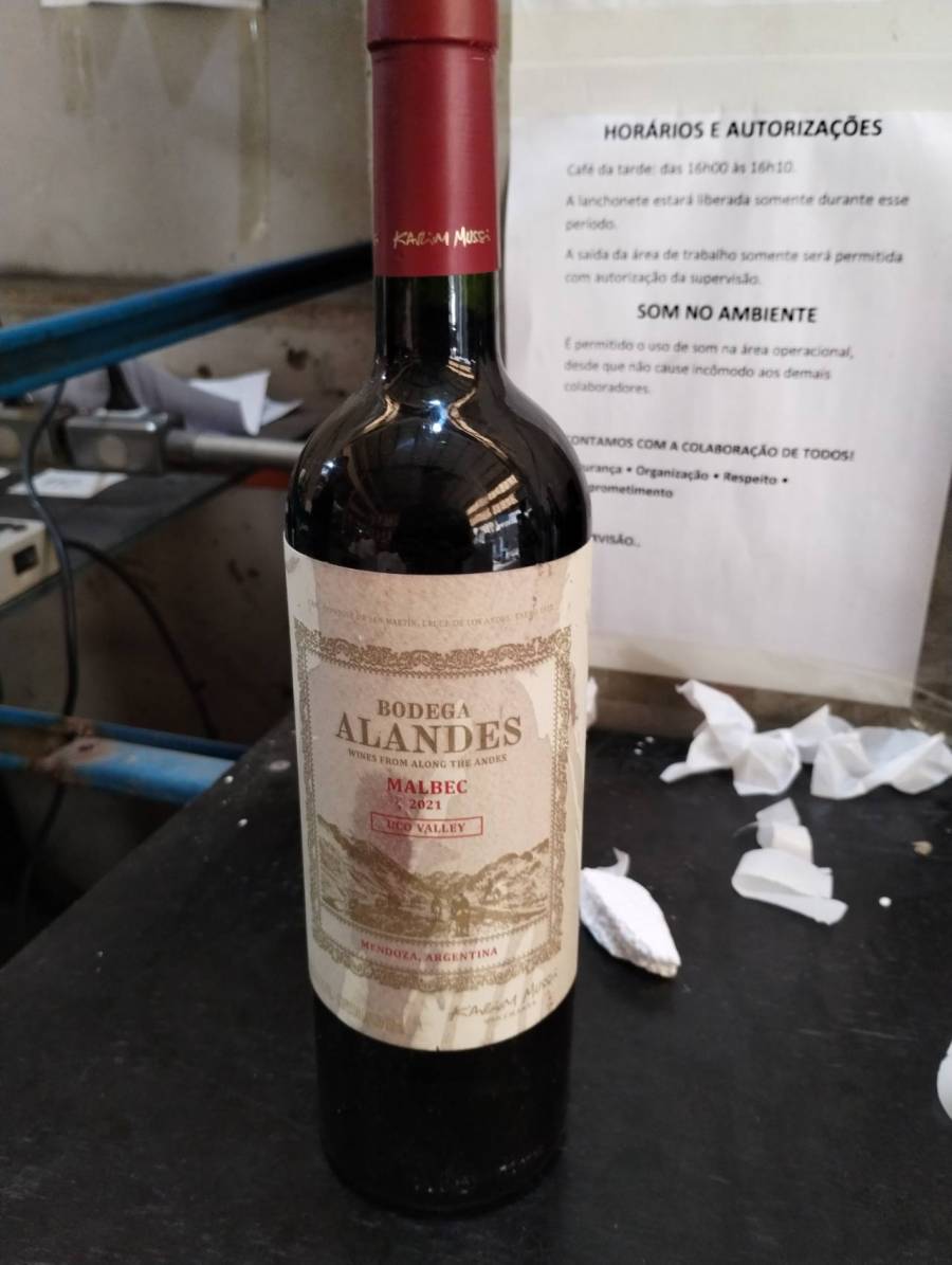 Vinho Malbec Bodega Alandes 2021