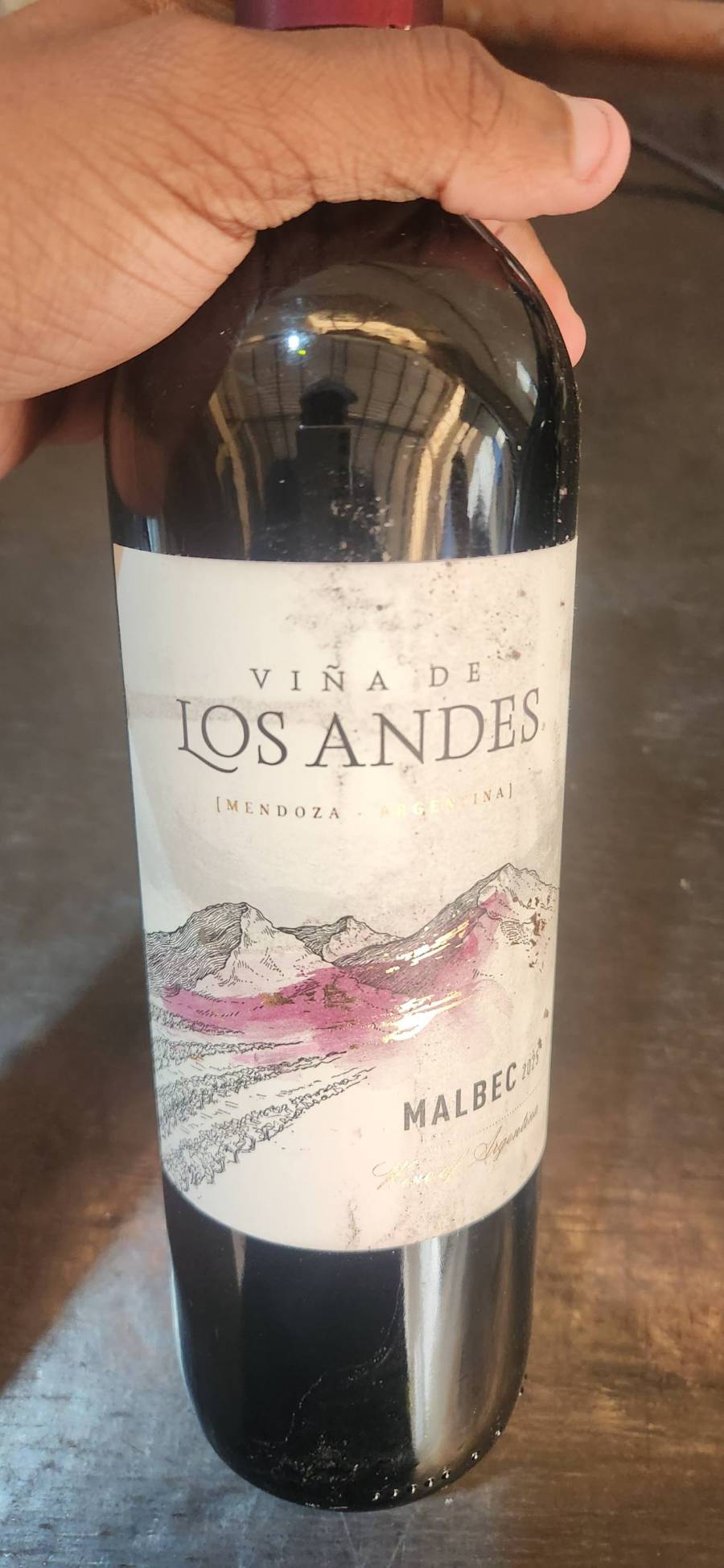 Vinho Tinto Malbec Viña de Los Andes 2023