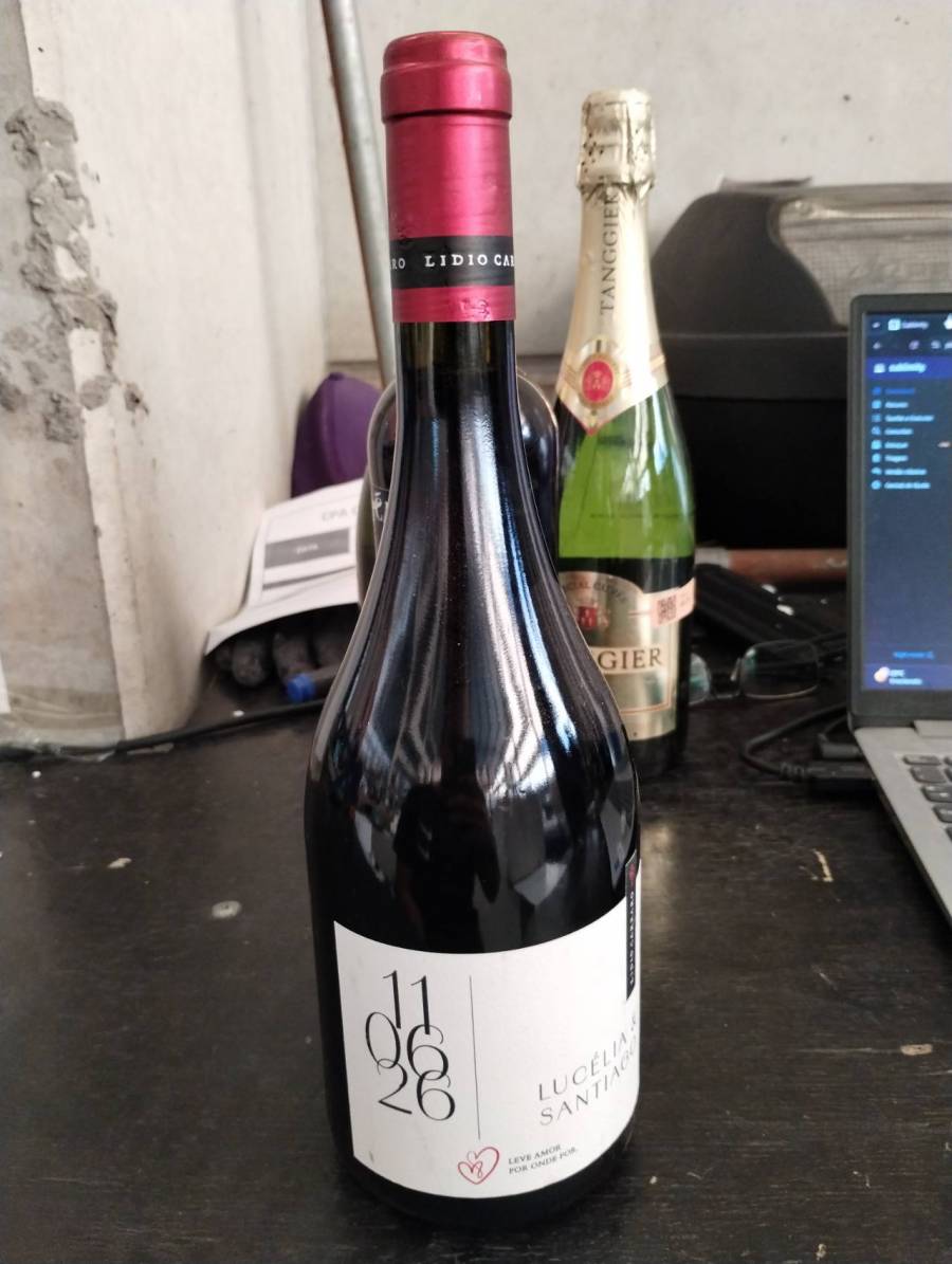 Vinho tinto Lucélia Santiago
