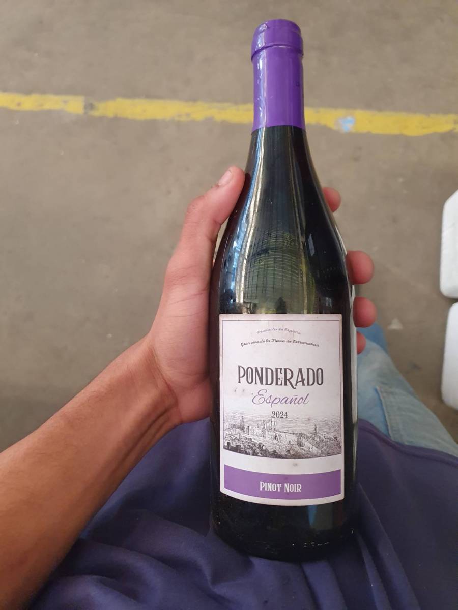 Vinho fino tinto seco Pinot Noir Ponderado Español 2024