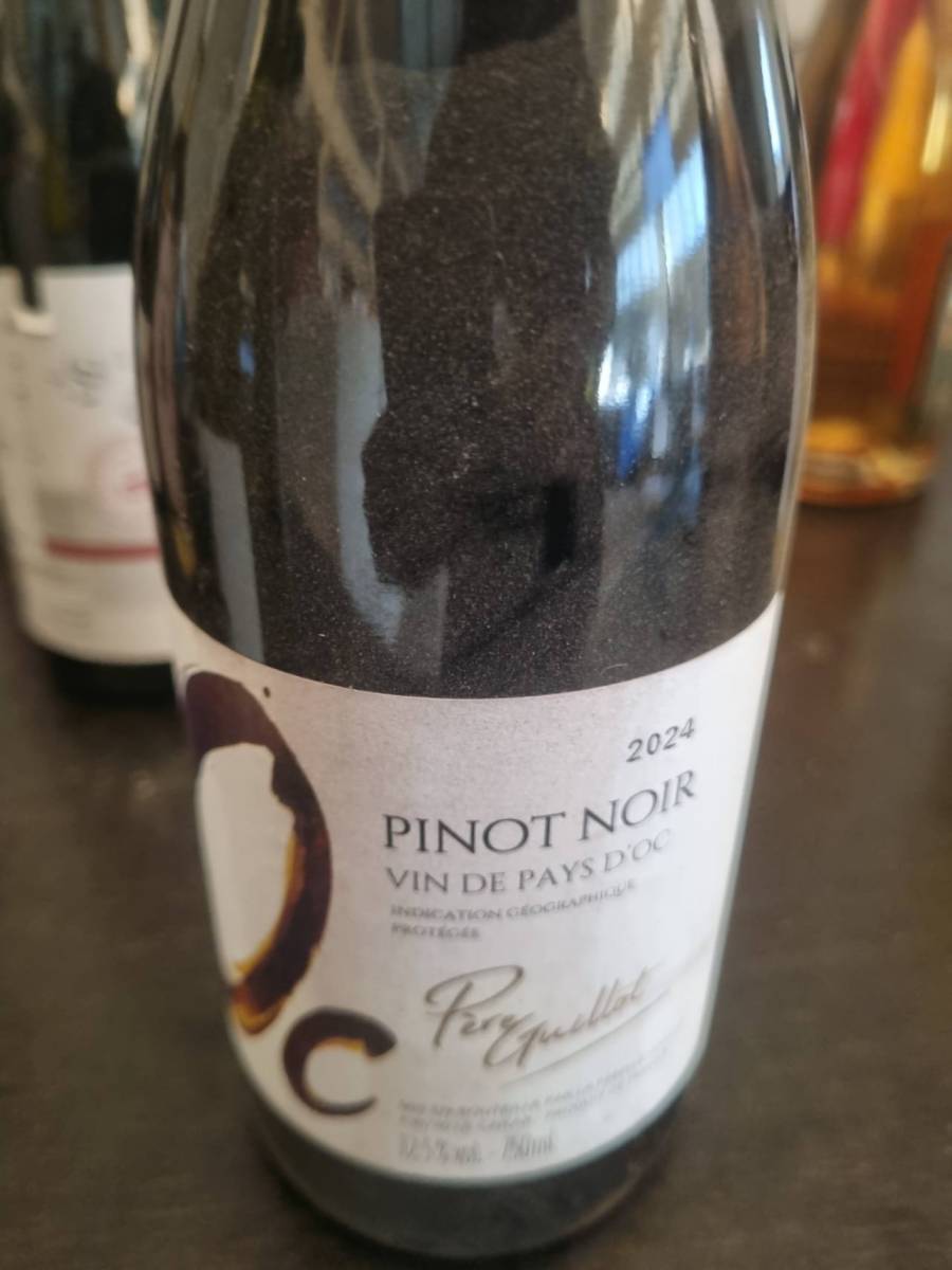 Vinho Pinot Noir