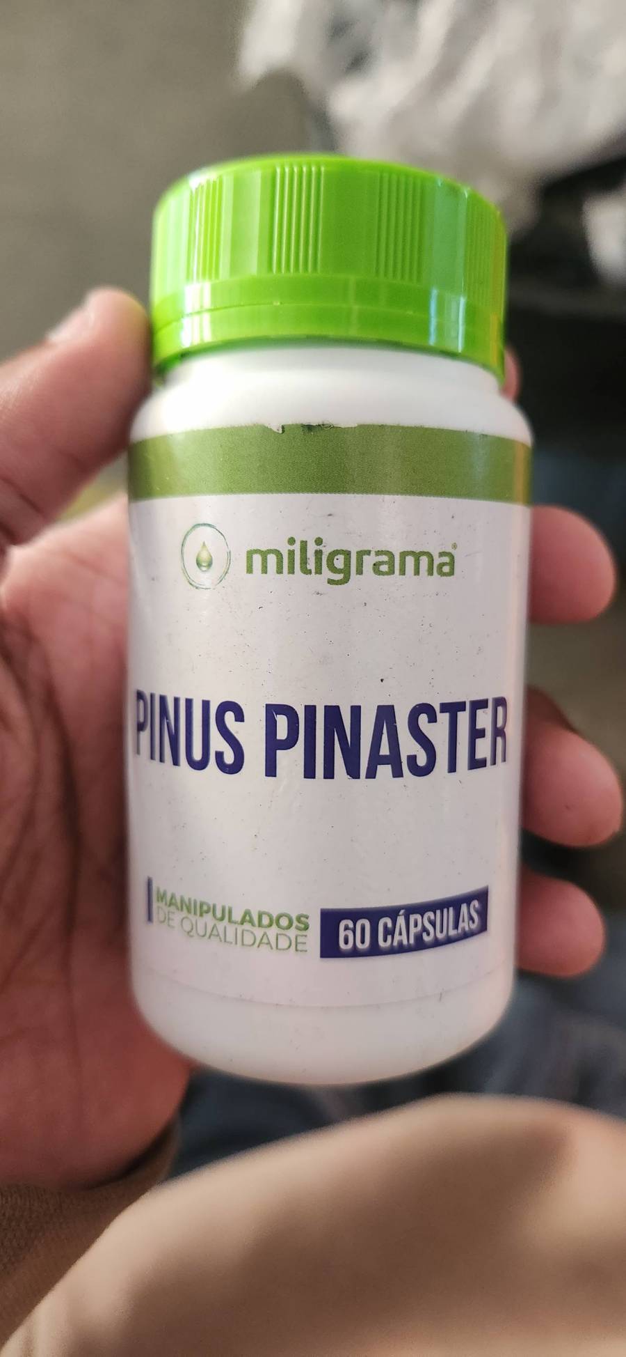 Pinus Pinaster 60 cápsulas