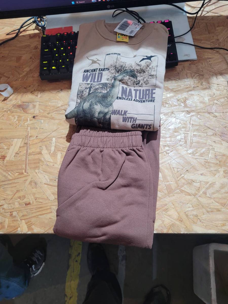 Conjunto infantil de moletom com estampa de dinossauro