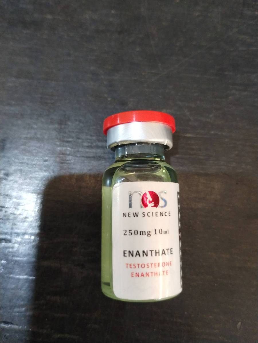 Testosterone Enanthate 250mg 10ml