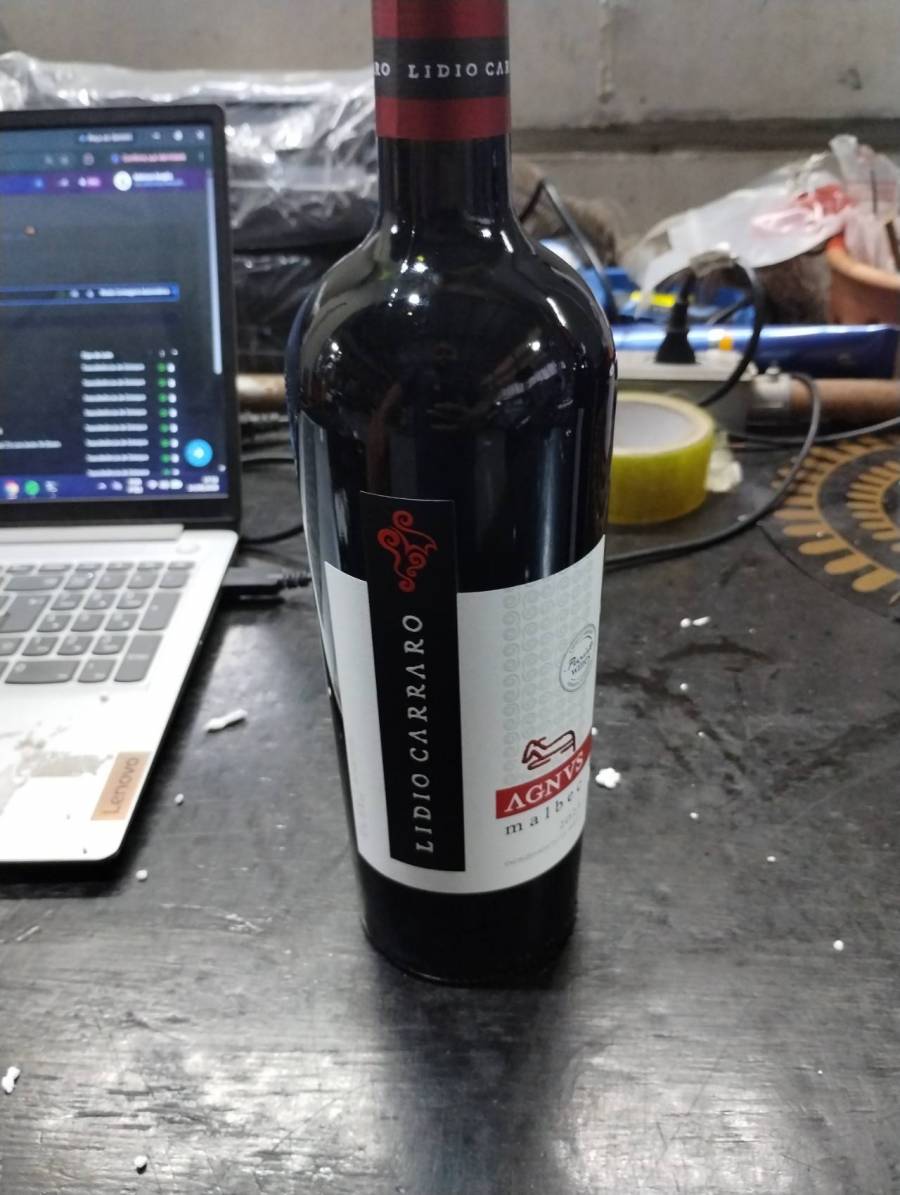 Vinho tinto Malbec