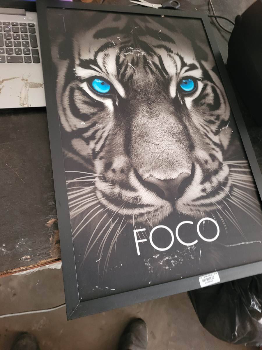 Quadro decorativo com imagem de tigre