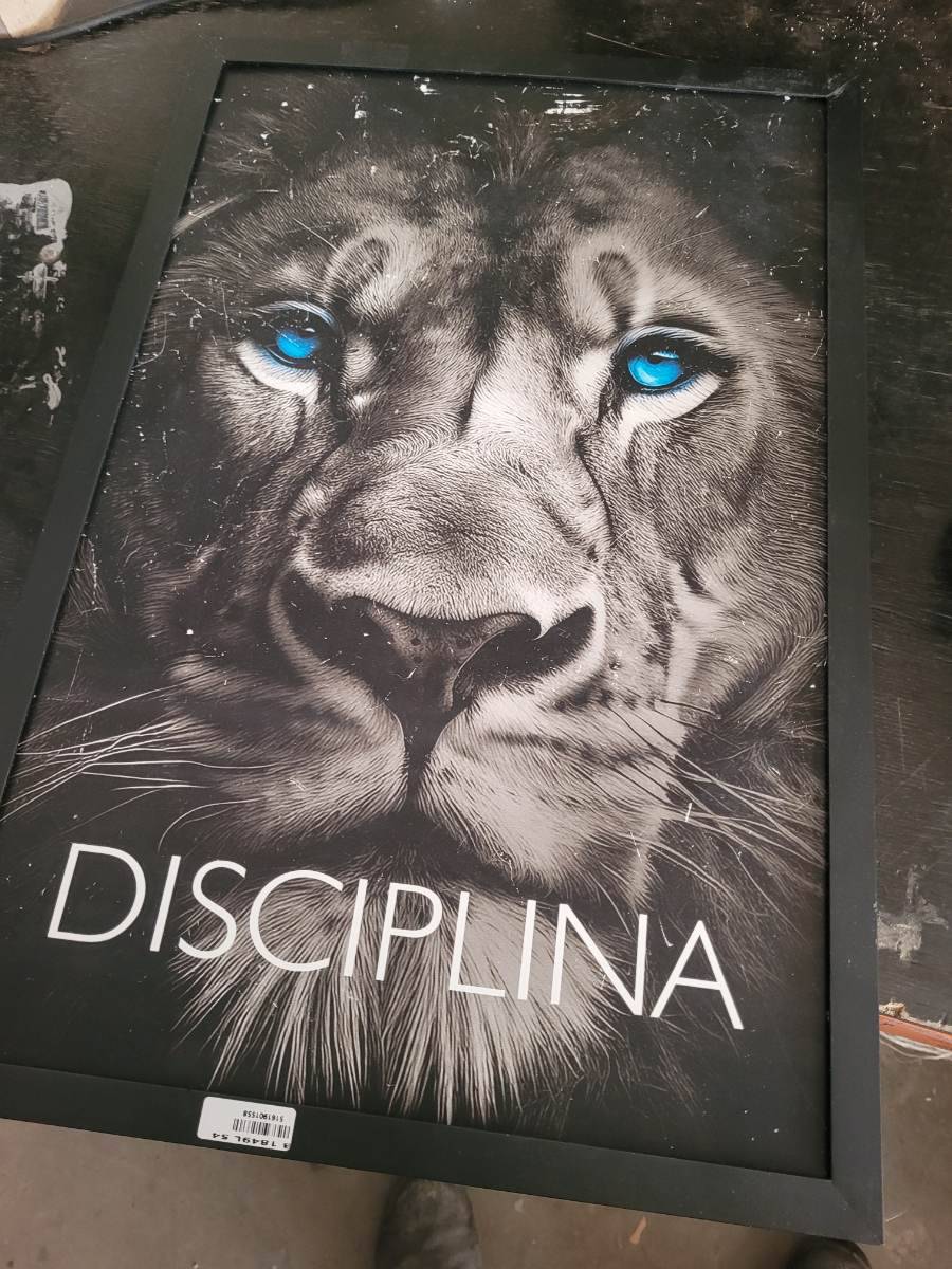 Quadro decorativo com imagem de leão e palavra 'DISCIPLINA'