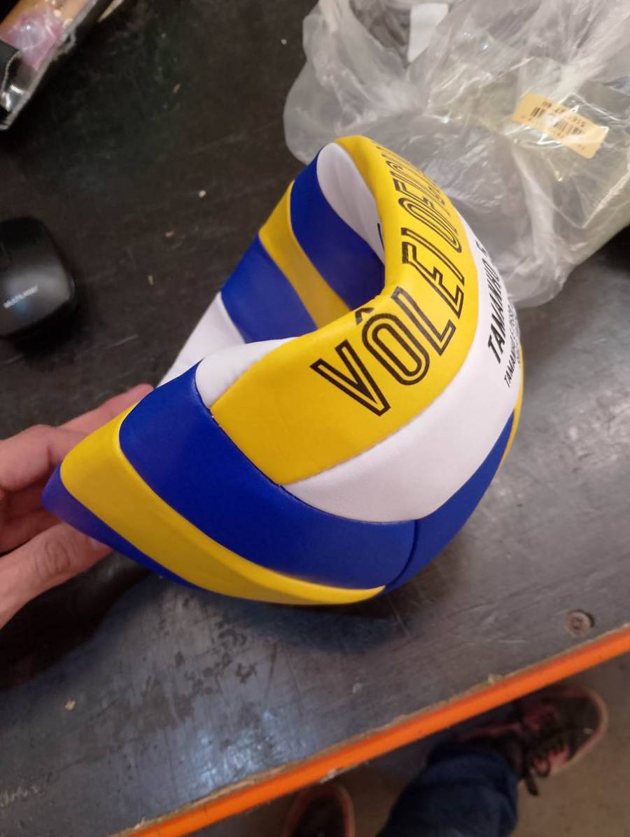 Bola de vôlei oficial