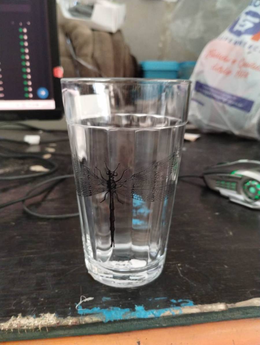 Copo de vidro com desenho de libélula