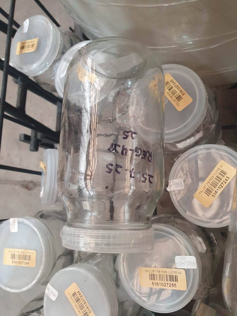 Pote de vidro com tampa plástica