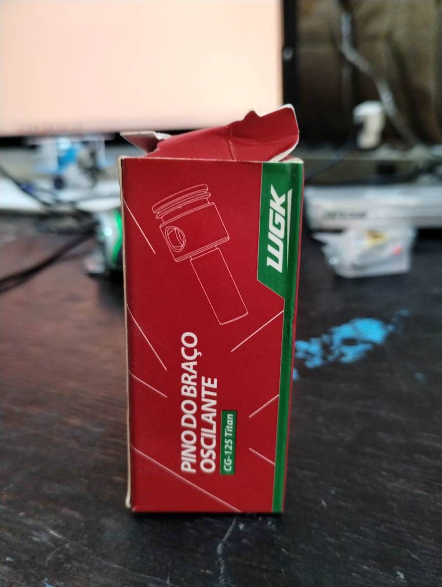 Pino do Braço Oscilante