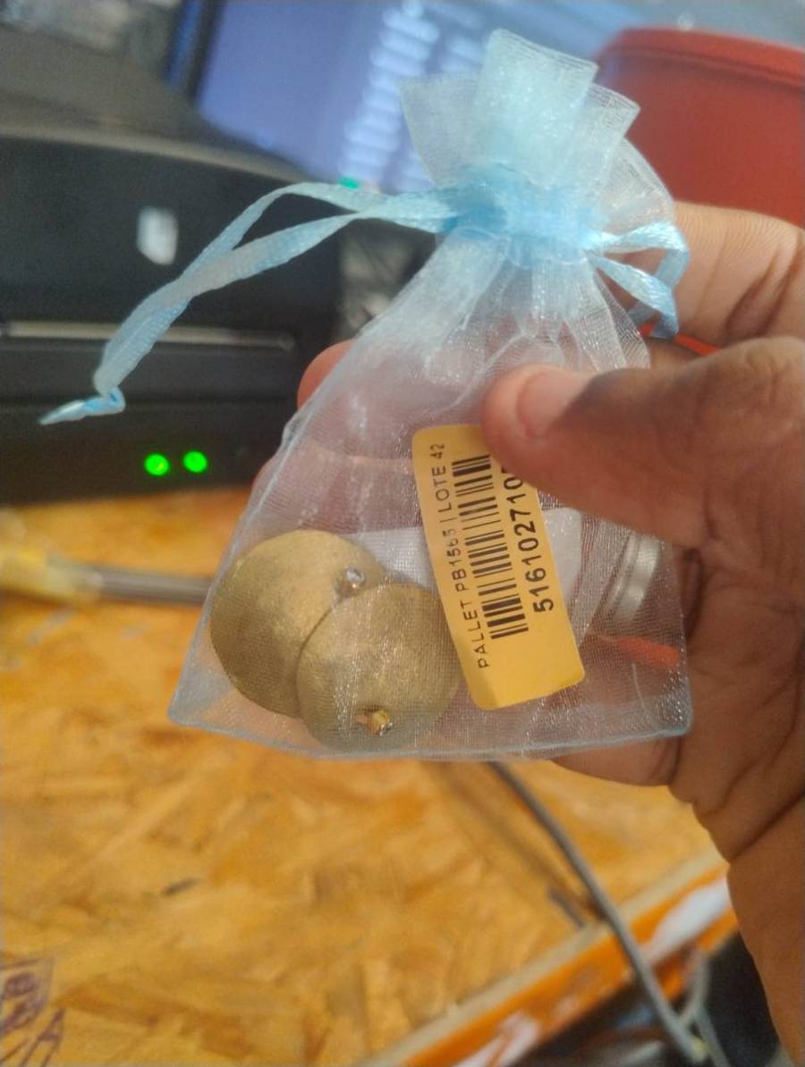 Brincos redondos dourados