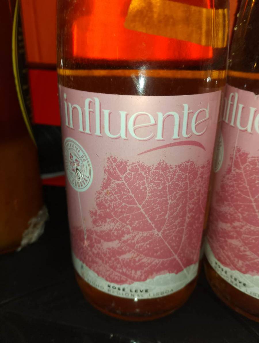 Vinho Rosé Leve Influente