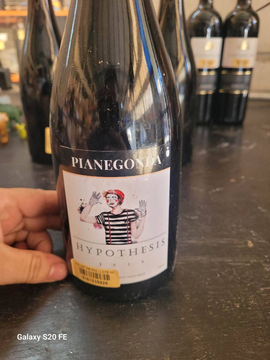 Vinho Pianegonda Hypothesis 2021
