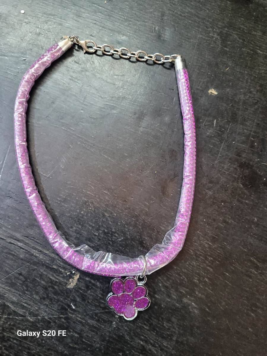 Colar com pingente de pata roxa