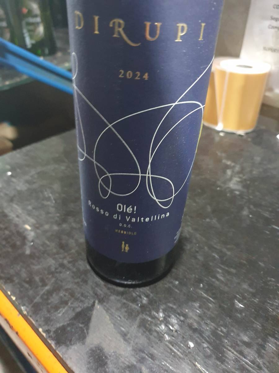 Vinho Tinto Olé Rosso di Valtellina 2024