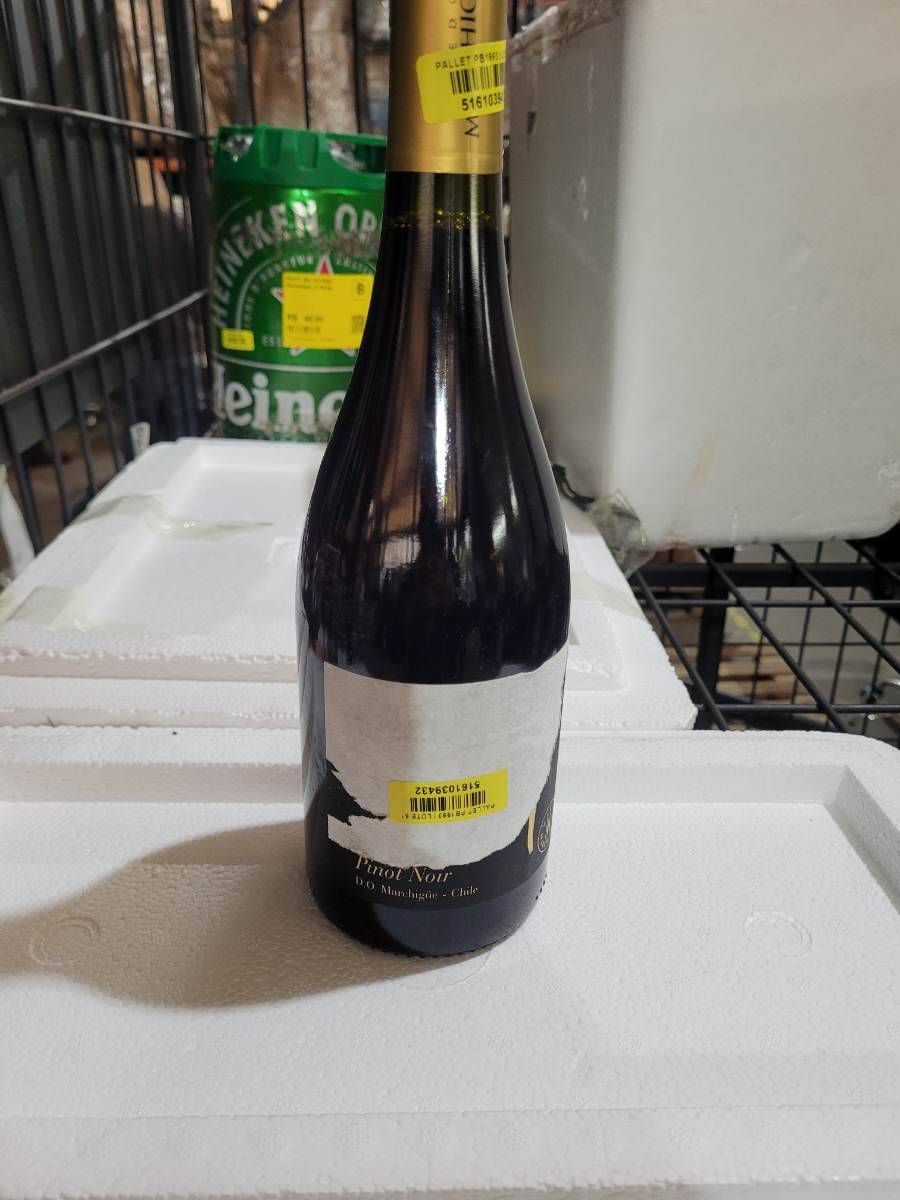 Vinho Pinot Noir