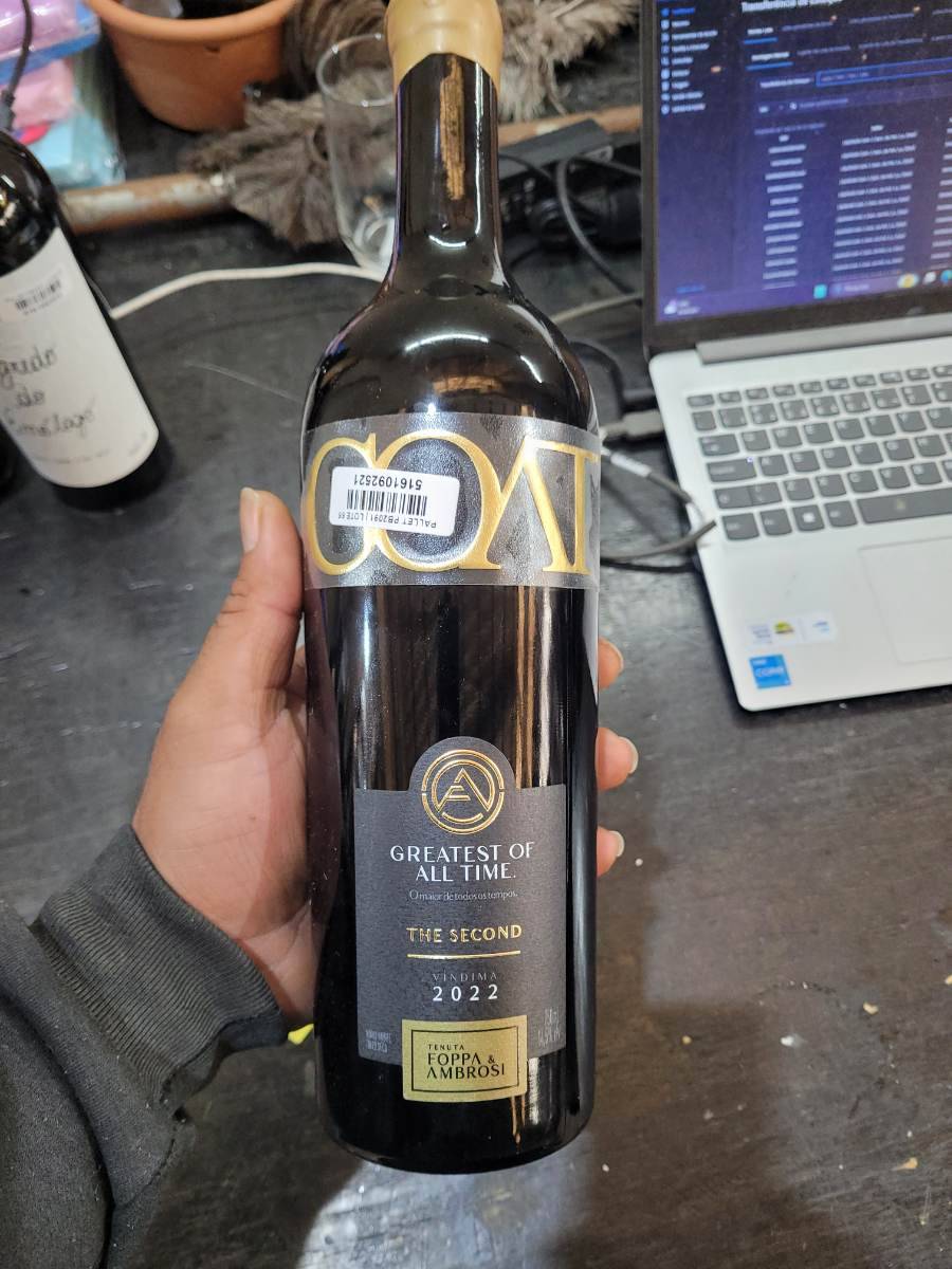 Vinho tinto Greatest Of All Time The Second Vindima 2022