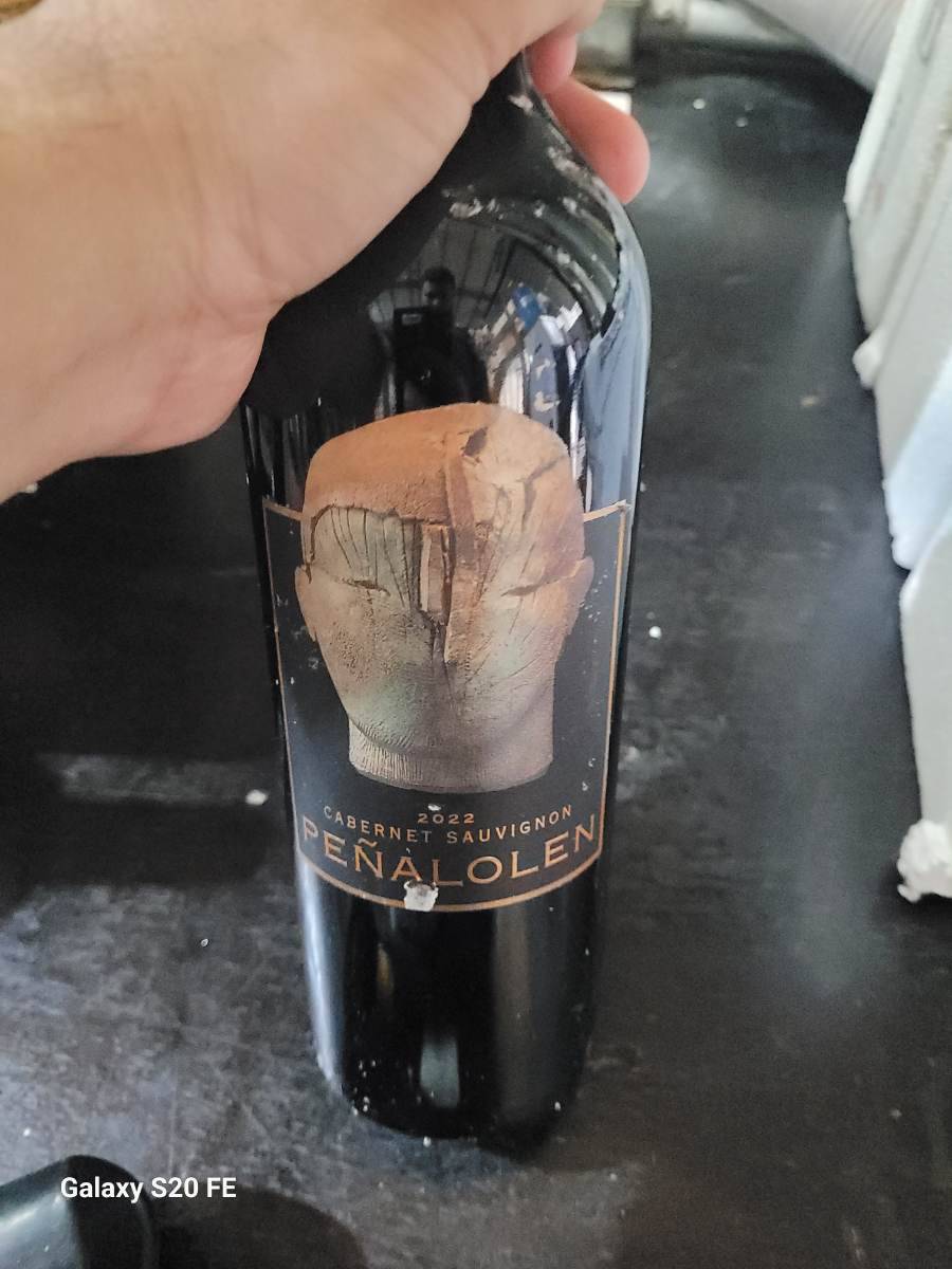Vinho Cabernet Sauvignon Peñalolen 2022